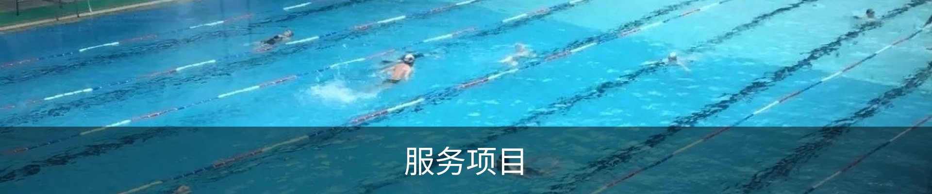 服务项目